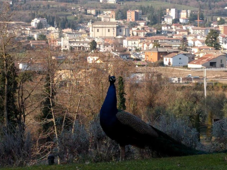 Il Ghiro Apartments Caprino Veronese Exterior foto